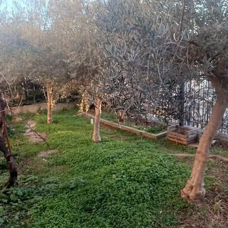άνετη κατοικία με κήπο